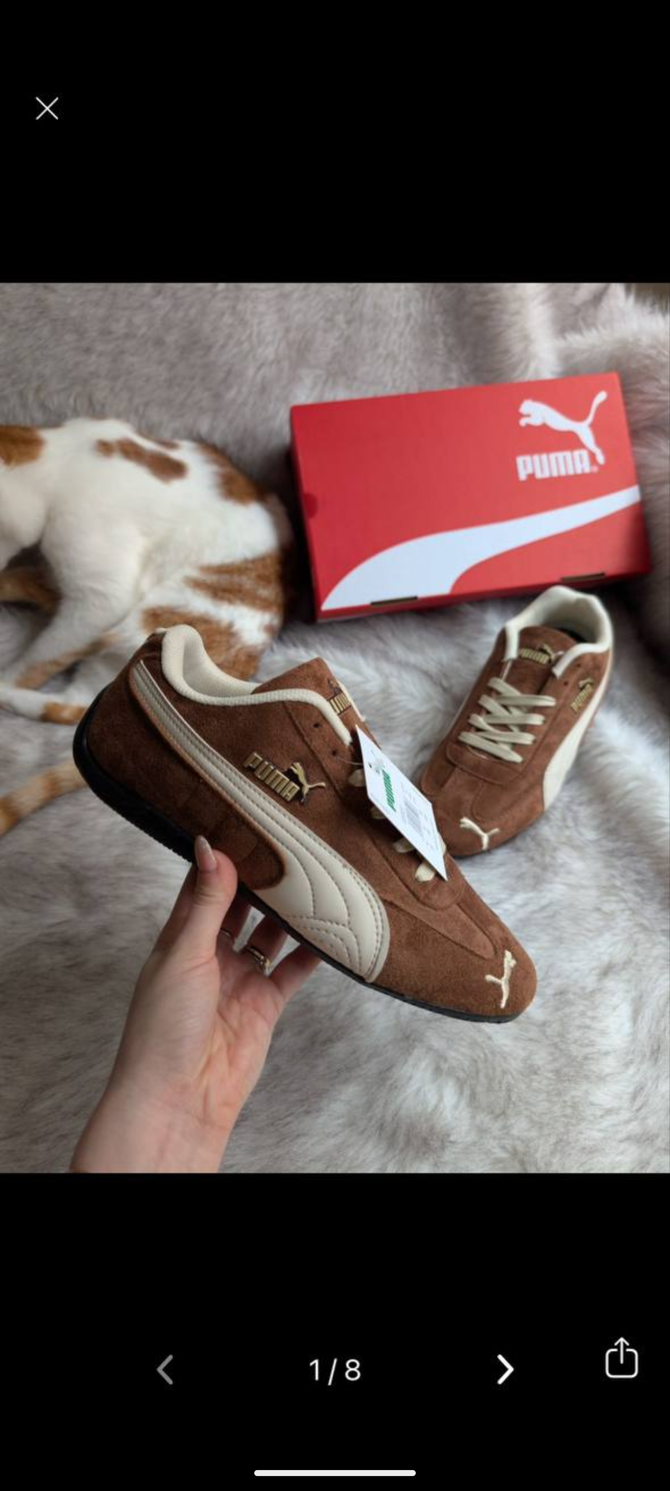 Puma Speedcat Kahverengi